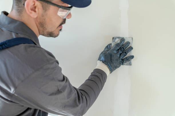 Best Attic Mold Removal  in Pukalani, HI