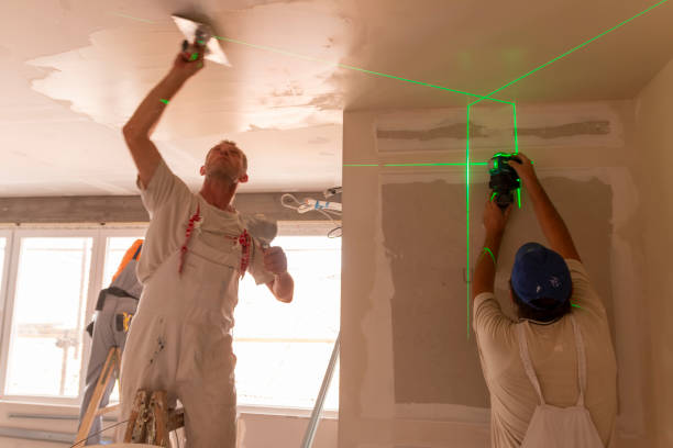 Best Forensic Mold Investigation  in Pukalani, HI