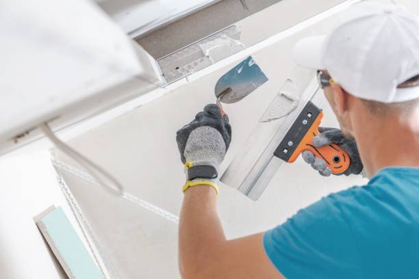 Best Water Damage & Mold Remediation  in Pukalani, HI